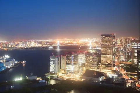 眠らない街の灯りが織りなす夜景