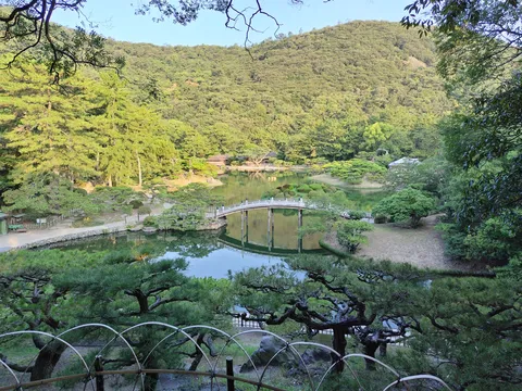 緑映える静寂の庭園