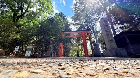 鳥居と石碑、木漏れ日の道
