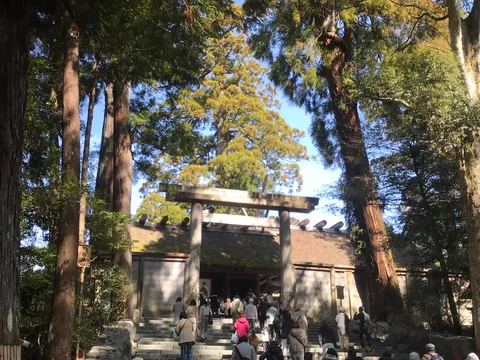木漏れ日、石段、古刹の情景