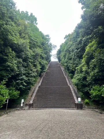 天へと続く緑の参道