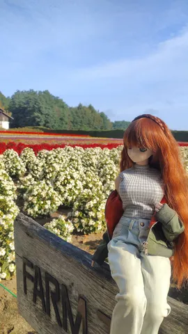 花畑と静かな午後の佇まい