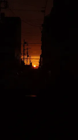夕暮れの路地に差す光