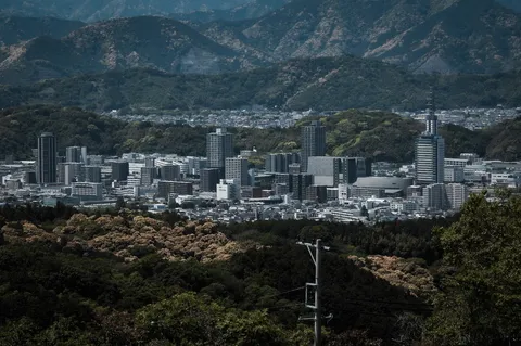 緑深き丘陵に佇む都市