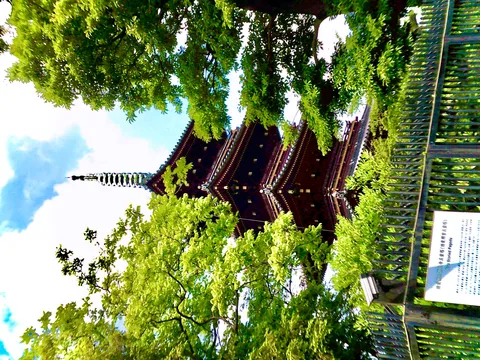 新緑に覆われた五重塔の神秘