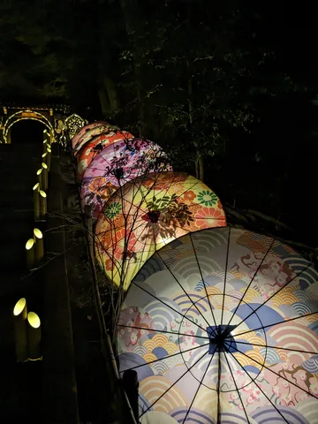 夜彩る和傘の灯路