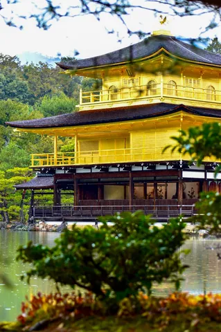 水面に揺れる黄金の輝き