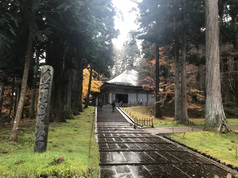 森へと続く石段の道