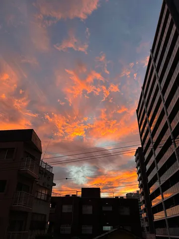 都市を染める鮮やかな夕焼け
