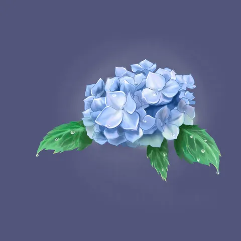 水滴きらめく青い紫陽花