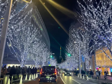 冬のきらめき、都会のイルミネーション