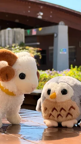 朝のぬいぐるみ会議