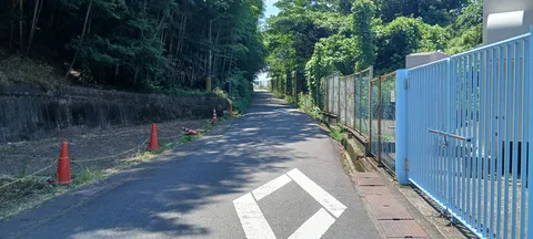 木陰の静かな坂道