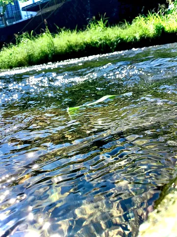 水辺のきらめきと風景