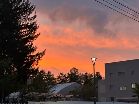 夕焼け空に浮かぶ街灯