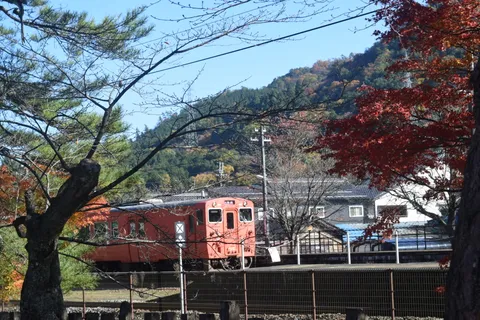 錦秋を走る列車