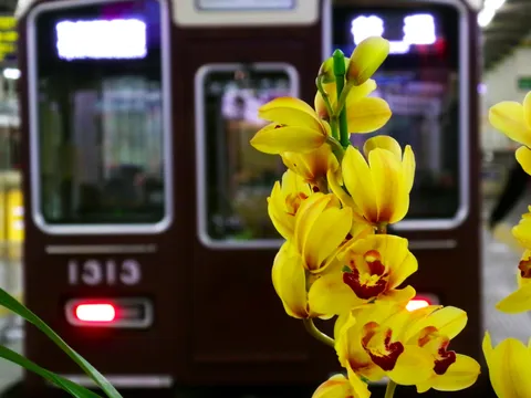 時を彩る、黄色の花