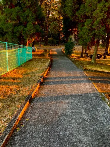 夕暮れの公園、一本の道