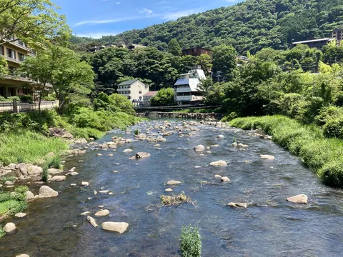 川辺に宿る緑の静寂