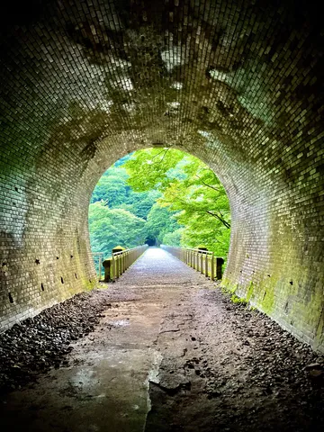 緑が抜ける石のトンネル