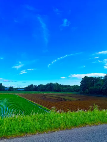 広がる空と田園のコントラスト