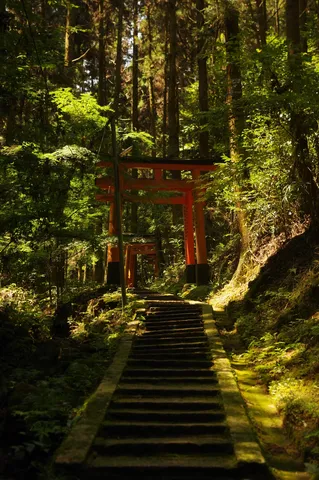 森の赤い鳥居と苔の階段