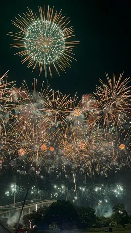 夜空に咲く球体花火