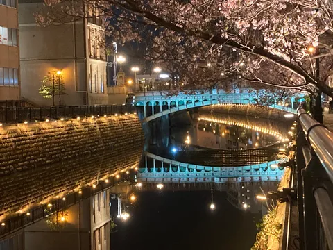 水面がステージ！光のシンフォニー