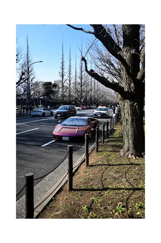 並木道に映えるメタリックな輝き