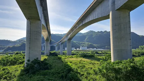 緑の谷を渡る構造美