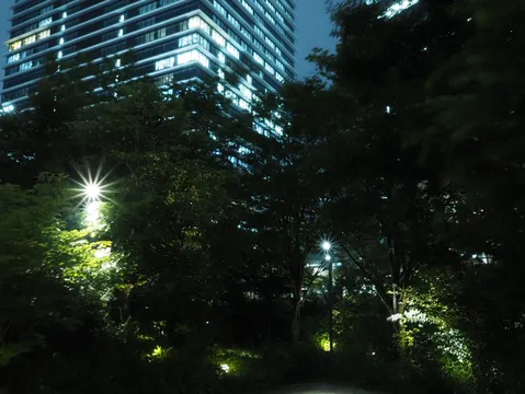 都会の夜景と緑のコントラスト