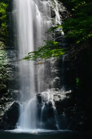 緑と水が織りなす癒やしの滝