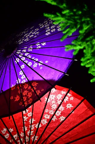 光る和傘、夜空の彩り