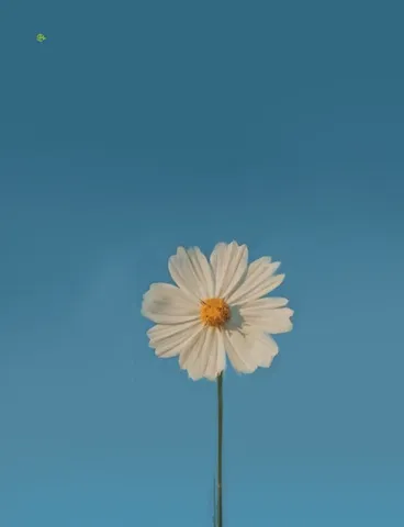 青空と花の素朴な詩