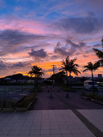 夕焼け空と椰子の影