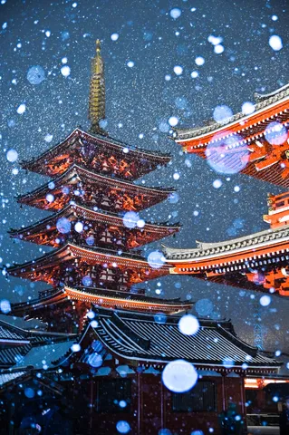 雪夜に浮かぶ雅な輝き