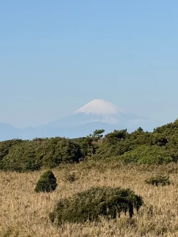 霞む山と枯れ草のコントラスト