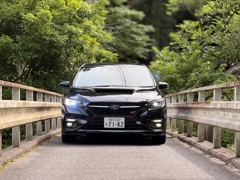 黒い翼、緑のトンネル