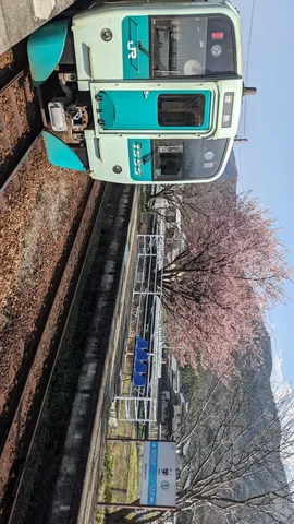 春色と旅立ちの予感