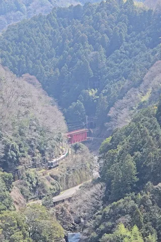 谷間を染める赤い橋