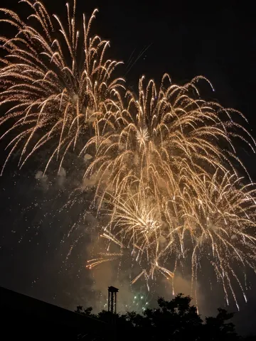 夜空を彩る黄金の華