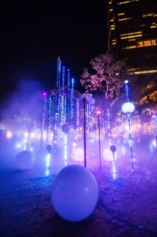 夜空に光る幻想的な光の柱