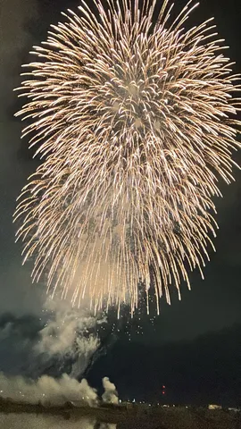 夜空に咲く錦の華