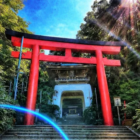参道に架かる虹