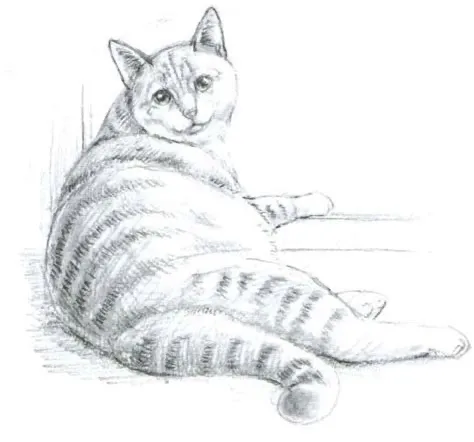 猫ちゃんのこのポーズ、何て言ってる？