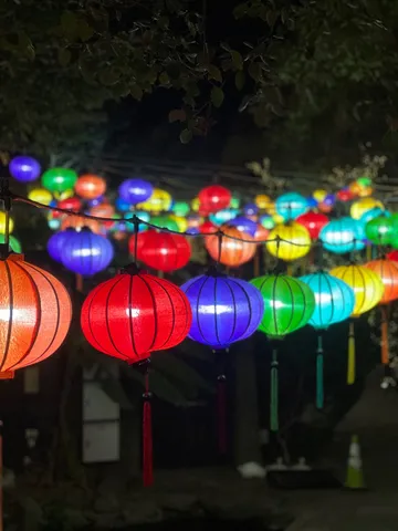提灯たちの華やか夜会