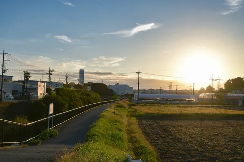 夕暮れののんびり道