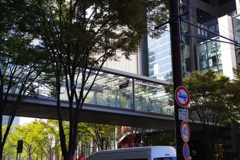 都市の空を繋ぐ緑の歩道橋