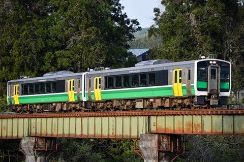 緑と鉄橋、そして電車