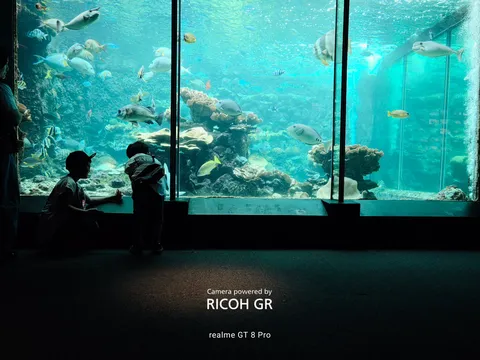 水槽の光と影の楽園